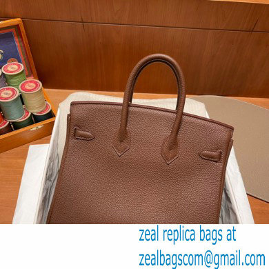 Hermes Birkin 25cm Bag alezan in Original Togo Leather
