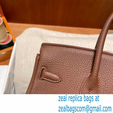 Hermes Birkin 25cm Bag alezan in Original Togo Leather - Click Image to Close