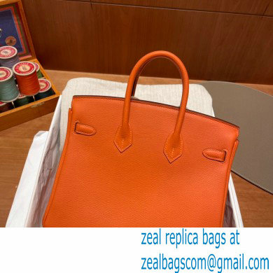 Hermes Birkin 25cm Bag orange in Original Togo Leather