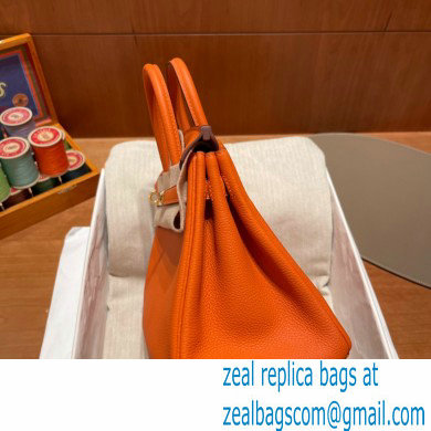 Hermes Birkin 25cm Bag orange in Original Togo Leather