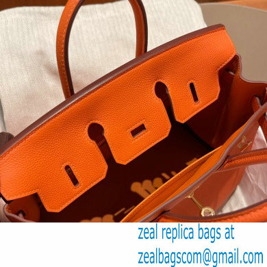 Hermes Birkin 25cm Bag orange in Original Togo Leather - Click Image to Close