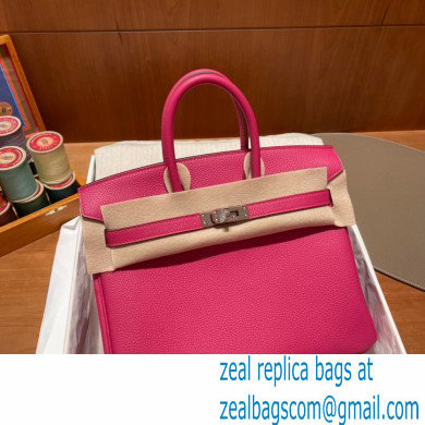 Hermes Birkin 25cm Bag rose tyrien in Original Togo Leather - Click Image to Close