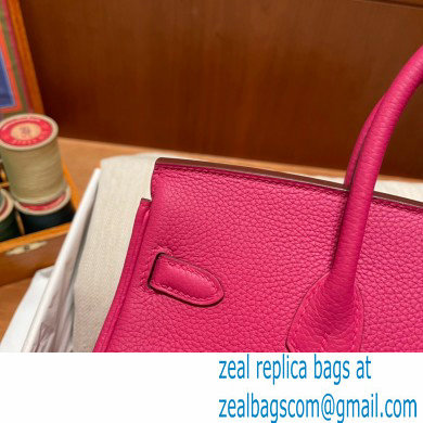Hermes Birkin 25cm Bag rose tyrien in Original Togo Leather - Click Image to Close