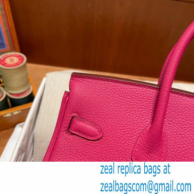 Hermes Birkin 25cm Bag rose tyrien in Original Togo Leather