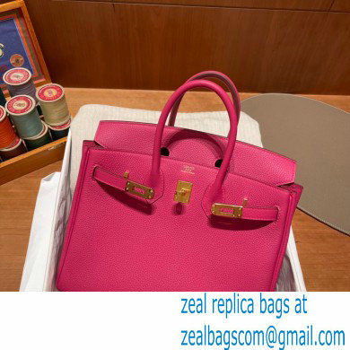 Hermes Birkin 25cm Bag rose tyrien in Original Togo Leather - Click Image to Close