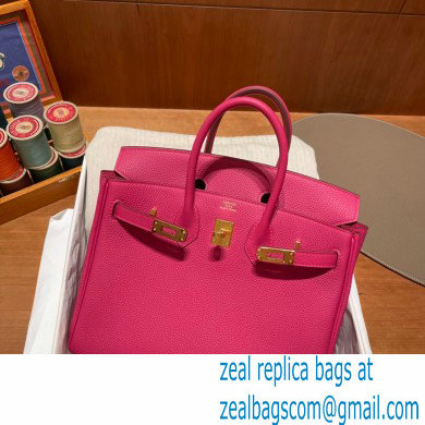 Hermes Birkin 25cm Bag rose tyrien in Original Togo Leather