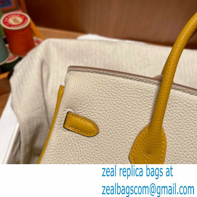 Hermes bicolor Birkin 25cm Bag craie/yellow in Original Togo Leather - Click Image to Close