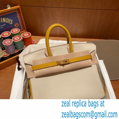 Hermes bicolor Birkin 25cm Bag craie/yellow in Original Togo Leather