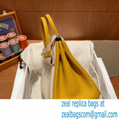 Hermes bicolor Birkin 25cm Bag craie/yellow in Original Togo Leather - Click Image to Close