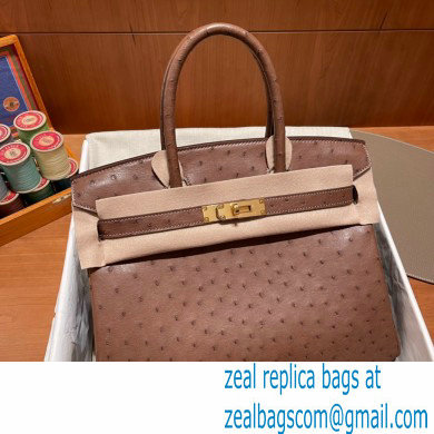 Hermes birkin 25 bag in ostrich leather alezan handmade - Click Image to Close