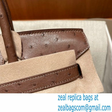 Hermes birkin 25 bag in ostrich leather alezan handmade - Click Image to Close