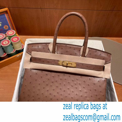 Hermes birkin 25 bag in ostrich leather alezan handmade - Click Image to Close