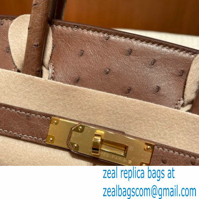 Hermes birkin 25 bag in ostrich leather alezan handmade