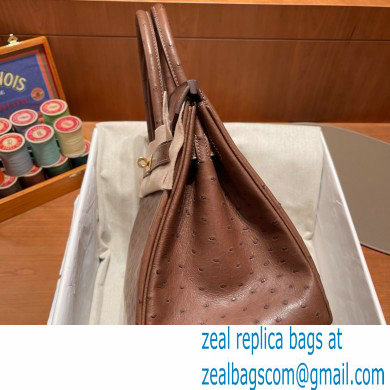 Hermes birkin 25 bag in ostrich leather alezan handmade - Click Image to Close