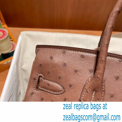 Hermes birkin 25 bag in ostrich leather alezan handmade