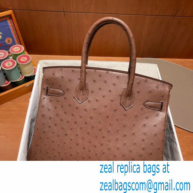 Hermes birkin 25 bag in ostrich leather alezan handmade - Click Image to Close