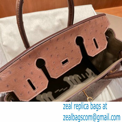Hermes birkin 25 bag in ostrich leather alezan handmade - Click Image to Close