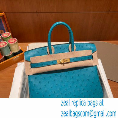 Hermes birkin 25 bag in ostrich leather bleu france handmade