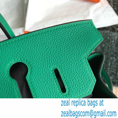 Hermes Birkin 30/35 Bag In Original togo Leather With Gold/Silver Hardware velvet green