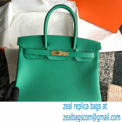 Hermes Birkin 30/35 Bag In Original togo Leather With Gold/Silver Hardware velvet green