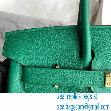 Hermes Birkin 30/35 Bag In Original togo Leather With Gold/Silver Hardware velvet green