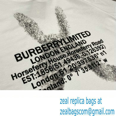 Burberry T-shirt 14 2022