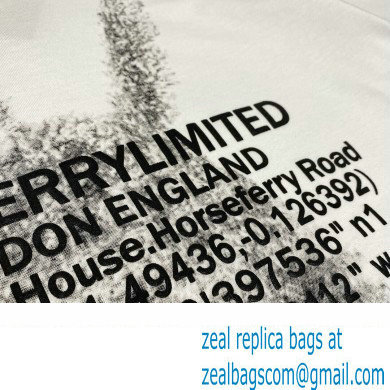 Burberry T-shirt 14 2022