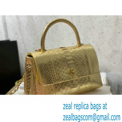 Chanel Python Coco Handle Medium Flap Bag with Top Handle 09