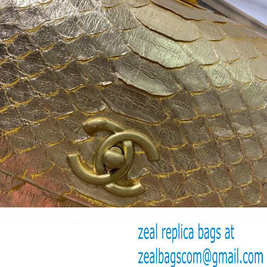 Chanel Python Coco Handle Medium Flap Bag with Top Handle 09