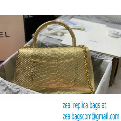 Chanel Python Coco Handle Medium Flap Bag with Top Handle 09