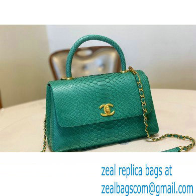 Chanel Python Coco Handle Medium Flap Bag with Top Handle 17