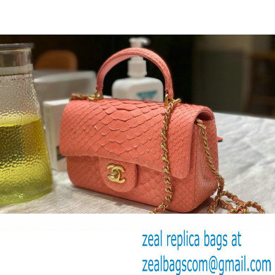 Chanel Python Coco Handle Mini Flap Bag with Top Handle 10