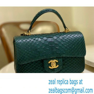 Chanel Python Coco Handle Mini Flap Bag with Top Handle 12