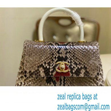 Chanel Python Coco Handle Small Flap Bag with Top Handle 08