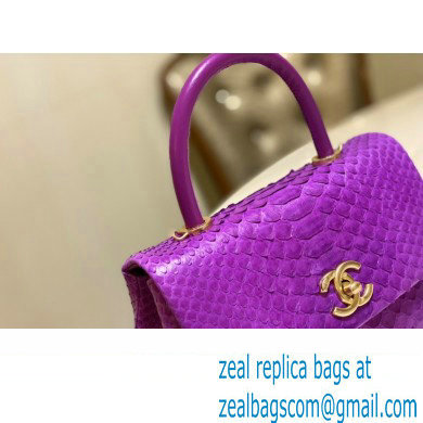 Chanel Python Coco Handle Small Flap Bag with Top Handle 20