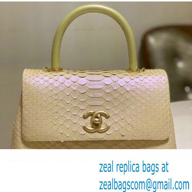 Chanel Python Coco Handle Small Flap Bag with Top Handle 22