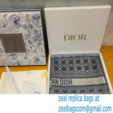 Dior Cashmere and Linen D-Cannage Shawl gray 2022