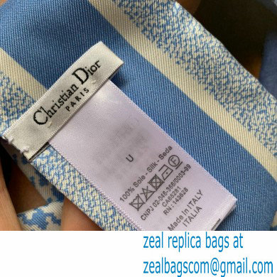 Dior blue Des Vents and White Silk Twill 30 Montaigne Mitzah Scarf 2022 - Click Image to Close