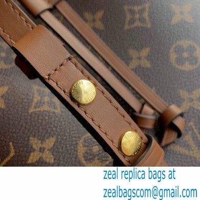 louis vuitton Monogram canvas NeoNoe MM bucket bag caramel