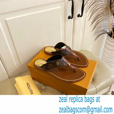 Louis Vuitton Sunny Flat Thong Sandals 03 2022 - Click Image to Close