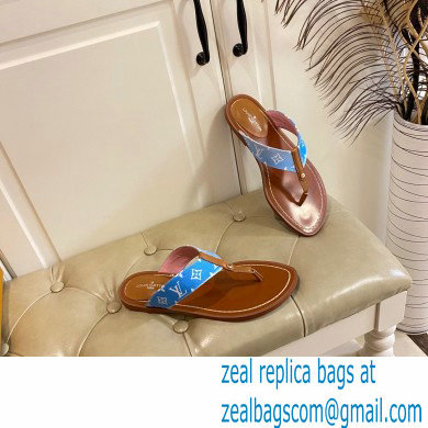 Louis Vuitton Sunny Flat Thong Sandals 04 2022 - Click Image to Close