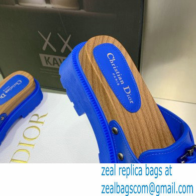 Dior Diorquake Strap Slides Sandals in Calfskin Blue 2022