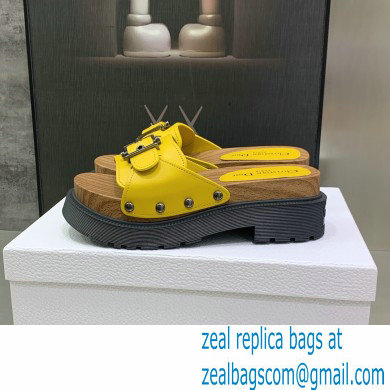 Dior Diorquake Strap Slides Sandals in Calfskin Yellow 2022