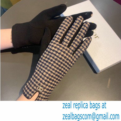 Dior Gloves D08 2022