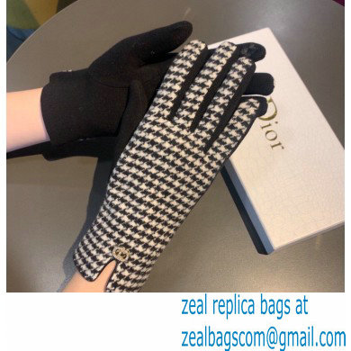 Dior Gloves D09 2022