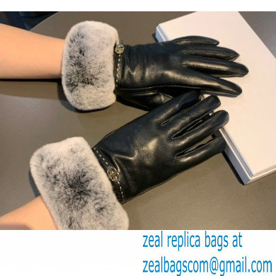 Dior Gloves D17 2022