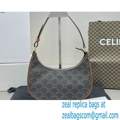 Celine Ava Bag in Triomphe Canvas and calfskin 60054 Brown