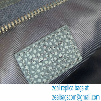 Louis Vuitton Taurillon Monogram leather Climbing Theme Standing Pouch Bag Gray