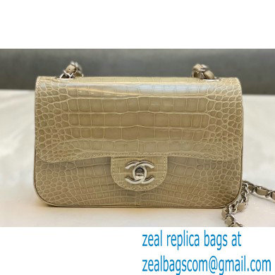 Chanel Classic Flap Small Bag 1116 In Alligator 06 2023