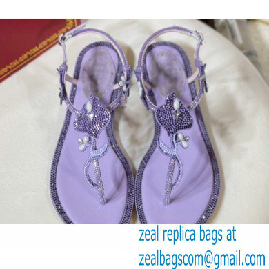 Rene Caovilla Flat flip flops Jewelled Sandals with Crystals and Pearl Purple 2023 - Click Image to Close